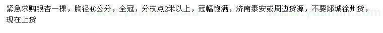 求購胸徑40公分銀杏