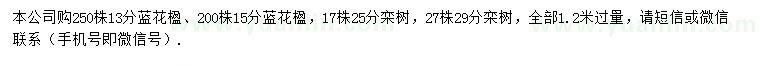 求購1.2米量13、15分藍花楹、25、29分欒樹