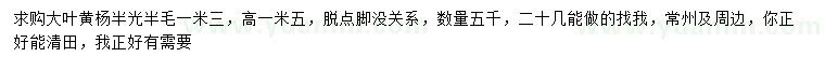 求購高1.5米大葉黃楊