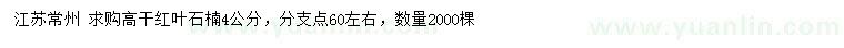 求購4公分高桿紅葉石楠
