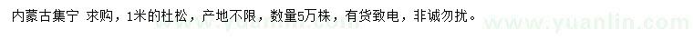 求購1米杜松