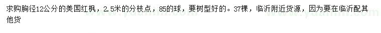求購胸徑12公分美國紅楓