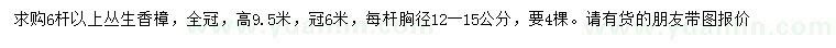 求購高9.5米叢生香樟