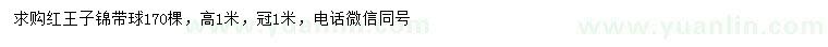 求購高1米紅王子錦帶球