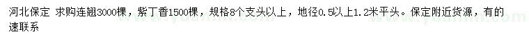 求購地徑0.5公分以下連翹、紫丁香