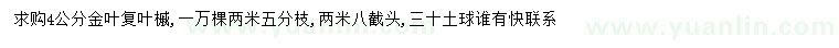 求購4公分金葉復(fù)葉槭