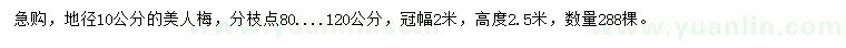 求購地徑10公分美人梅