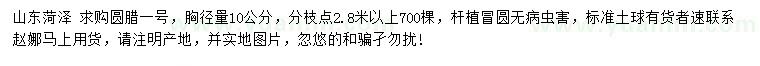 求購胸徑量10公分圓臘