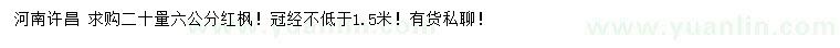 求購20量6公分紅楓
