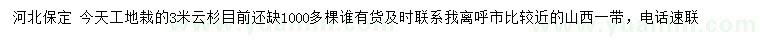 求購3米云杉
