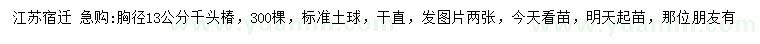 求購(gòu)胸徑13公分千頭椿