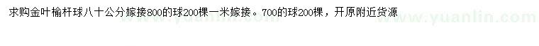 求購80公分金葉榆桿球
