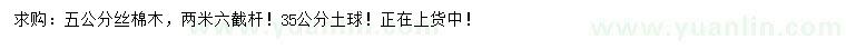 求購5公分絲棉木
