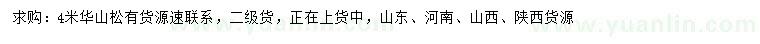 求購(gòu)4米華山松