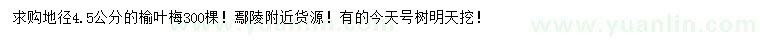 求購地徑4.5公分的榆葉梅