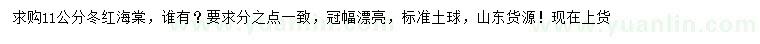 求購11公分冬紅海棠