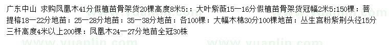 求購鳳凰木、大葉紫薇、菩提榕等