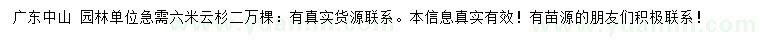 求購6米云杉