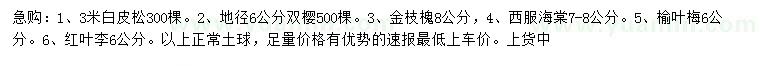 求購白皮松、雙櫻、金枝槐等