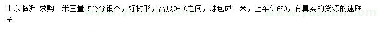 求購1.3米量15公分銀杏
