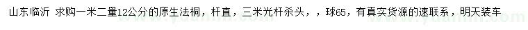 求購1.2米量12公分法桐
