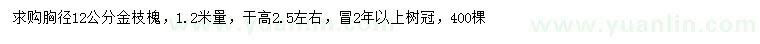 求購1.2米量12公分金枝槐