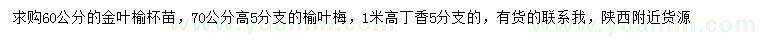 求購(gòu)金葉榆、榆葉梅，叢生丁香