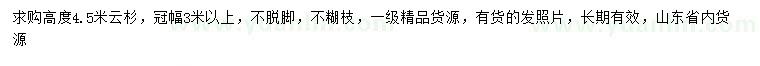 求購(gòu)高4.5米云杉