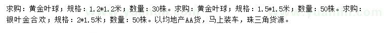 求購1.2*1.2、1.5*1.5米黃金葉球、2*1.5米銀葉金合歡