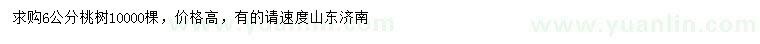 求購6公分桃樹