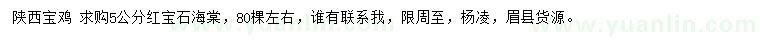 求購(gòu)5公分紅寶石海棠