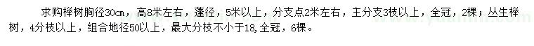 求購胸徑30公分櫸樹、叢生櫸樹