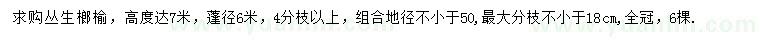 求購(gòu)蓬徑6米叢生榔榆