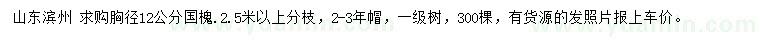 求購(gòu)胸徑12公分國(guó)槐