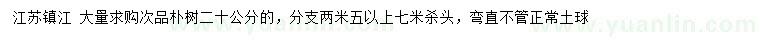 求購20公分樸樹