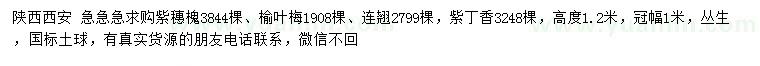 求購(gòu)紫穗槐、榆葉梅、連翹等