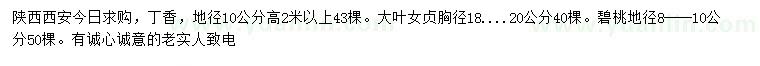 求購丁香、大葉女貞、碧桃