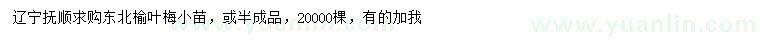 求購榆葉梅小苗