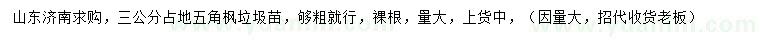 求購(gòu)3公分占地五角楓