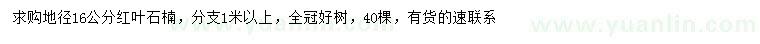 求購地徑16公分紅葉石楠