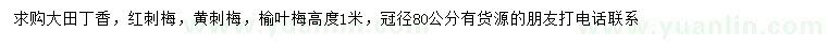 求購丁香、紅刺梅、黃刺梅等