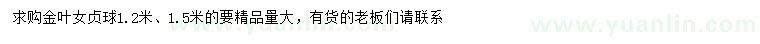 求購(gòu)1.2、1.5米金葉女貞球