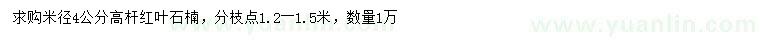 求購(gòu)米徑4公分紅葉石楠