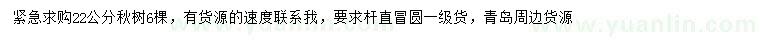 求購22公分楸樹