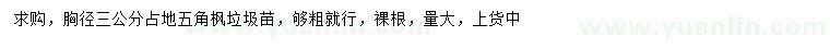 求購胸徑3公分占地五角楓