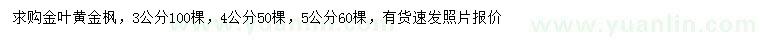 求購3、4、5公分金葉黃金楓