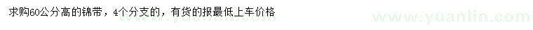 求購高60公分錦帶