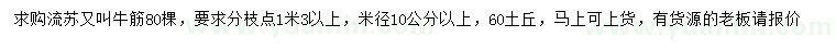求購米徑10公分以上流蘇