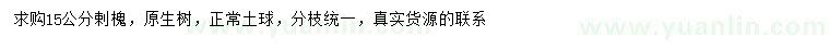 求購15公分剌槐