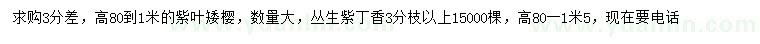 求購高80-100公分紫葉矮櫻